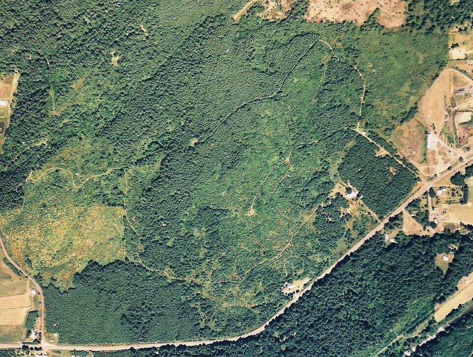 Figure 1.1. The Sullivan tree farm from the air, about 2002