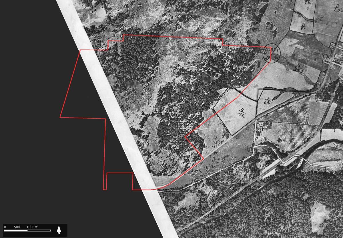 Figure 12.2. The earliest aerial photograph of the tree farm, 1936