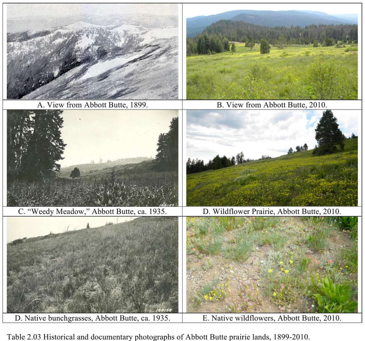 Figure 12.3. The prairies of Abbott Butte in 1899, about 1935 and 2010