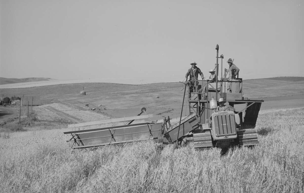 Figure 15.6. A tractor-drawn combine in the wheat fields of Whitman County, Washington, July 1941