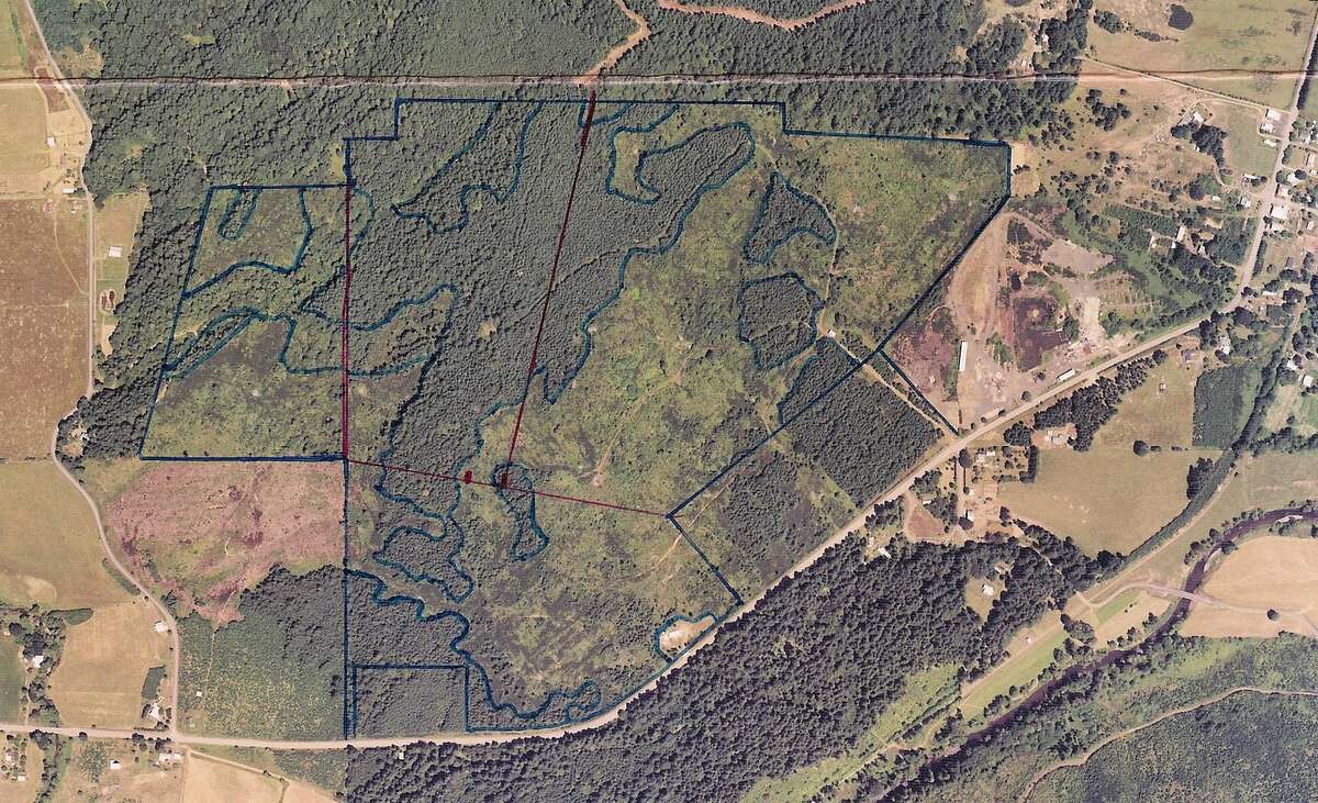 Figure 18.2. The Sullivan tree farm about 1997, with lines drawn by hand on an aerial photograph