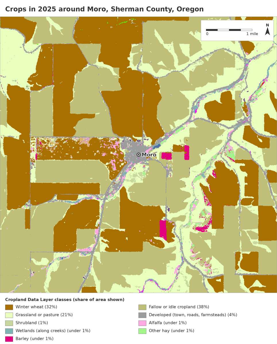 Figure 23.3. What was grown around Moro in 2025
