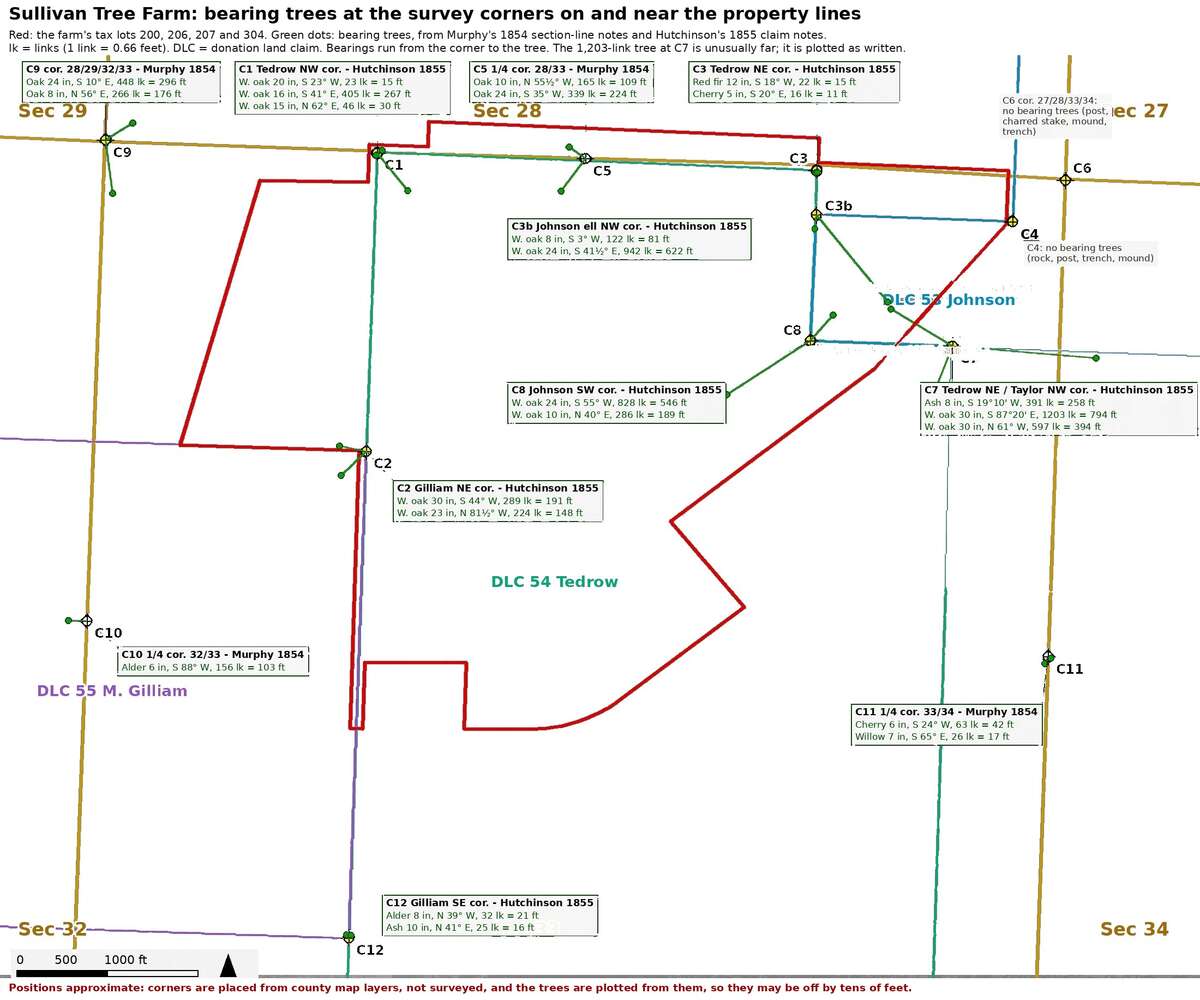 Figure 6.2. The bearing trees of 1854 and 1855 on and near the tree farm