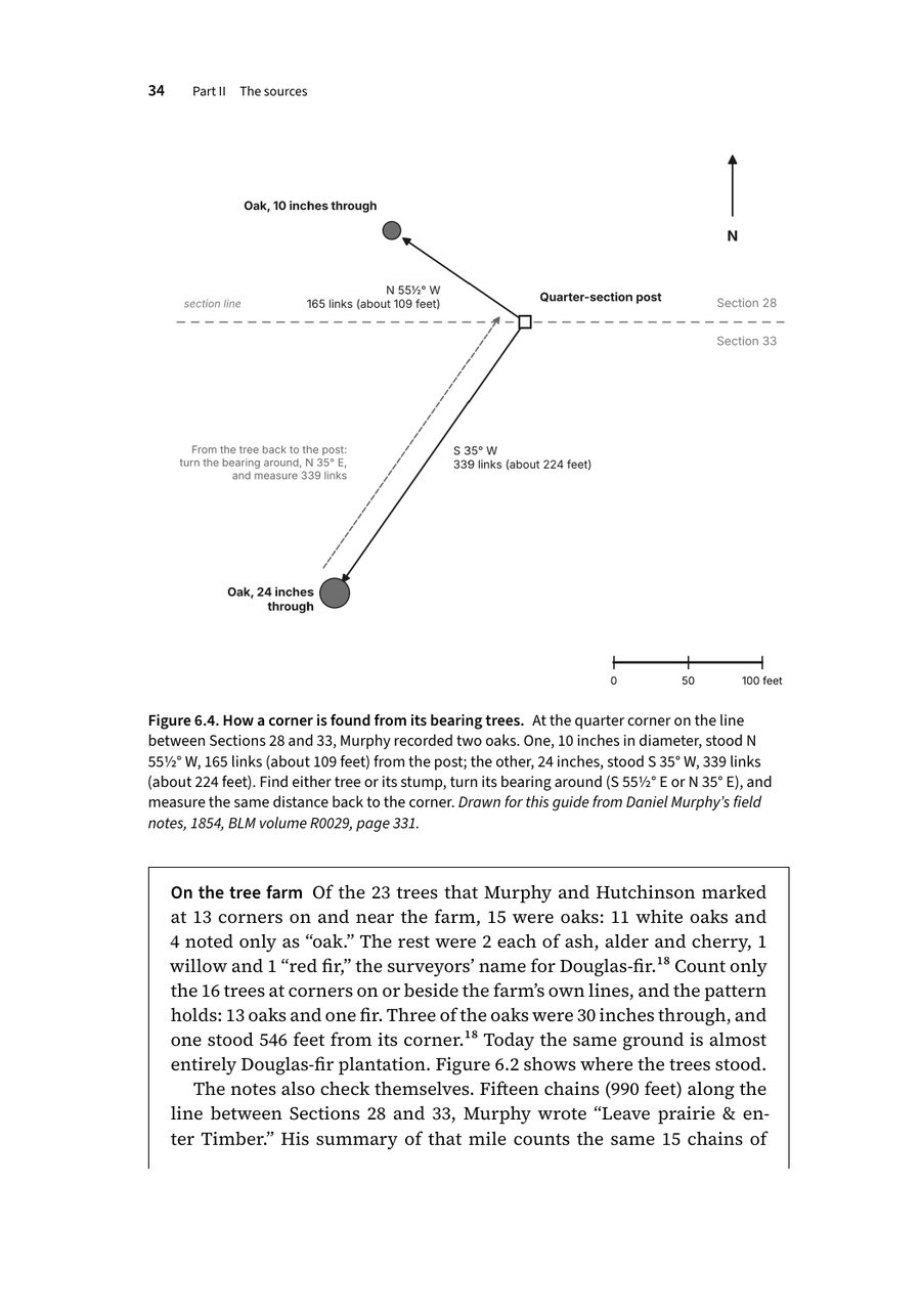 A page from the printed book: A figure and an “On the tree farm” box, also from Chapter 6.
