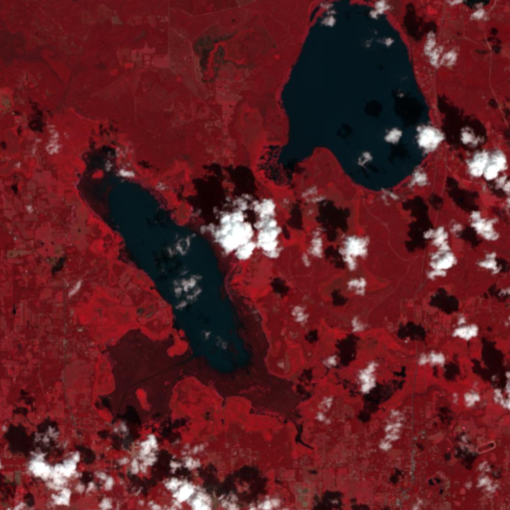 Landsat color-infrared false color (recent)