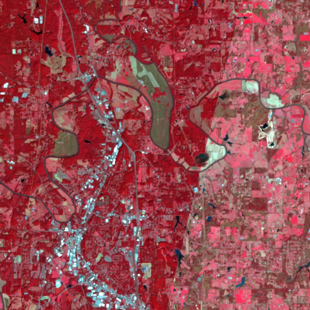 Landsat color-infrared false color (recent)