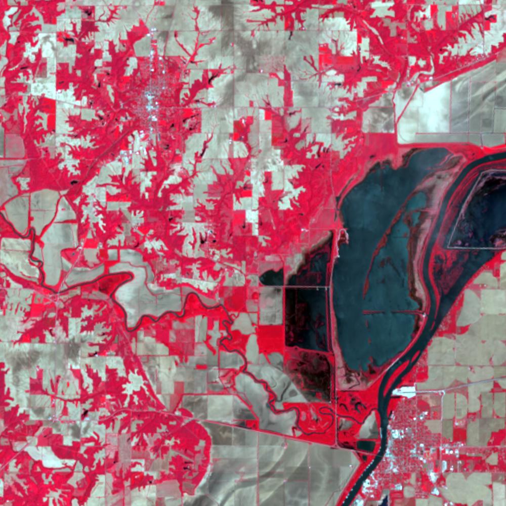 Landsat color-infrared false color (recent)