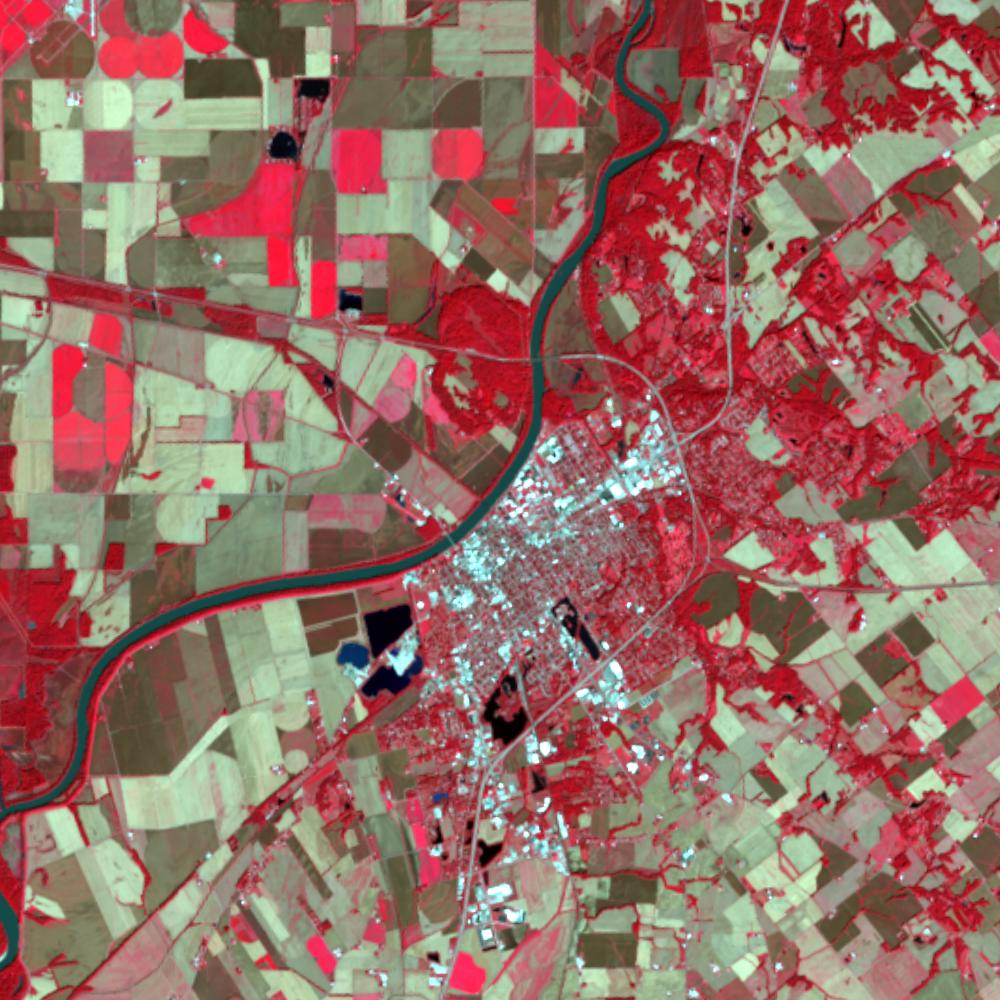 Landsat color-infrared false color (recent)