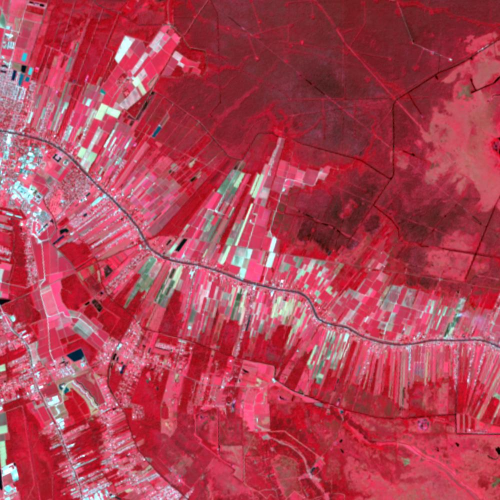 Landsat color-infrared false color (recent)