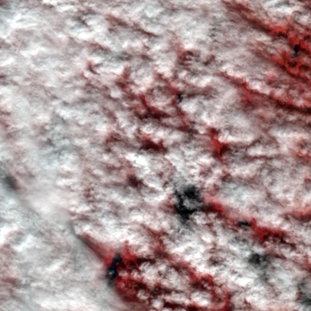 Landsat color-infrared false color (recent)