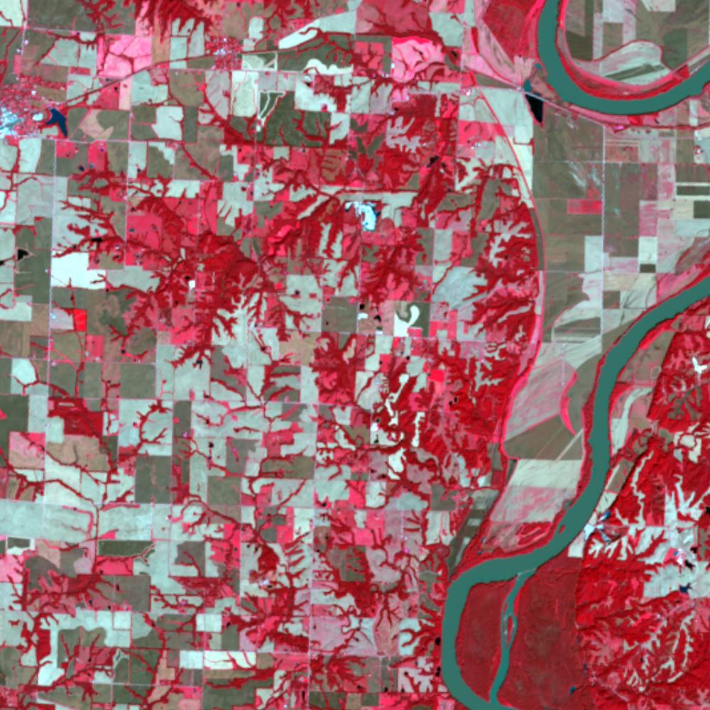 Landsat color-infrared false color (recent)