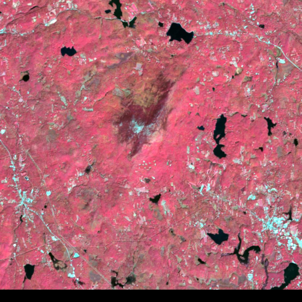 Landsat color-infrared false color (recent)