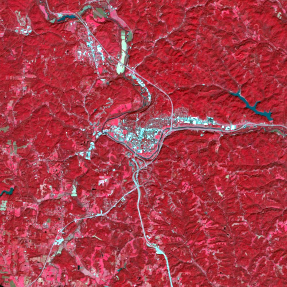 Landsat color-infrared false color (recent)