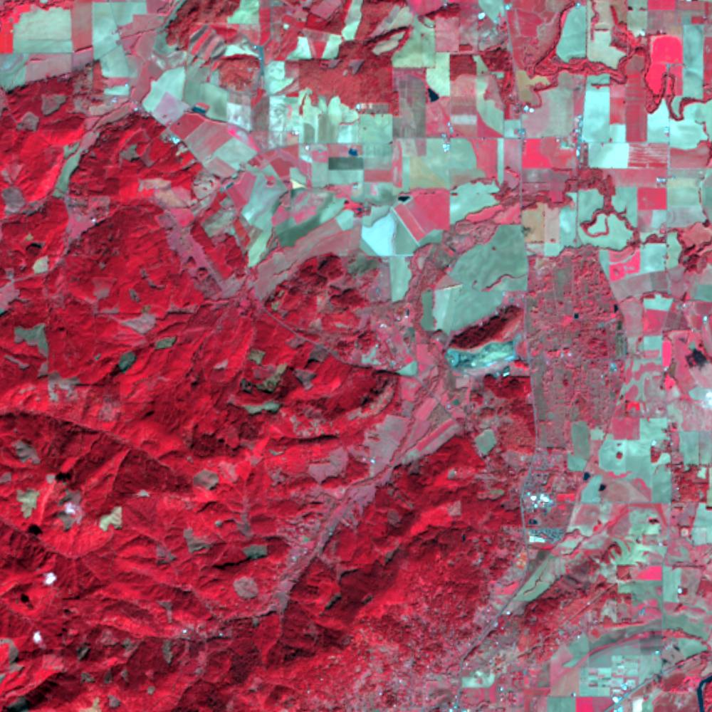 Landsat color-infrared false color (recent)
