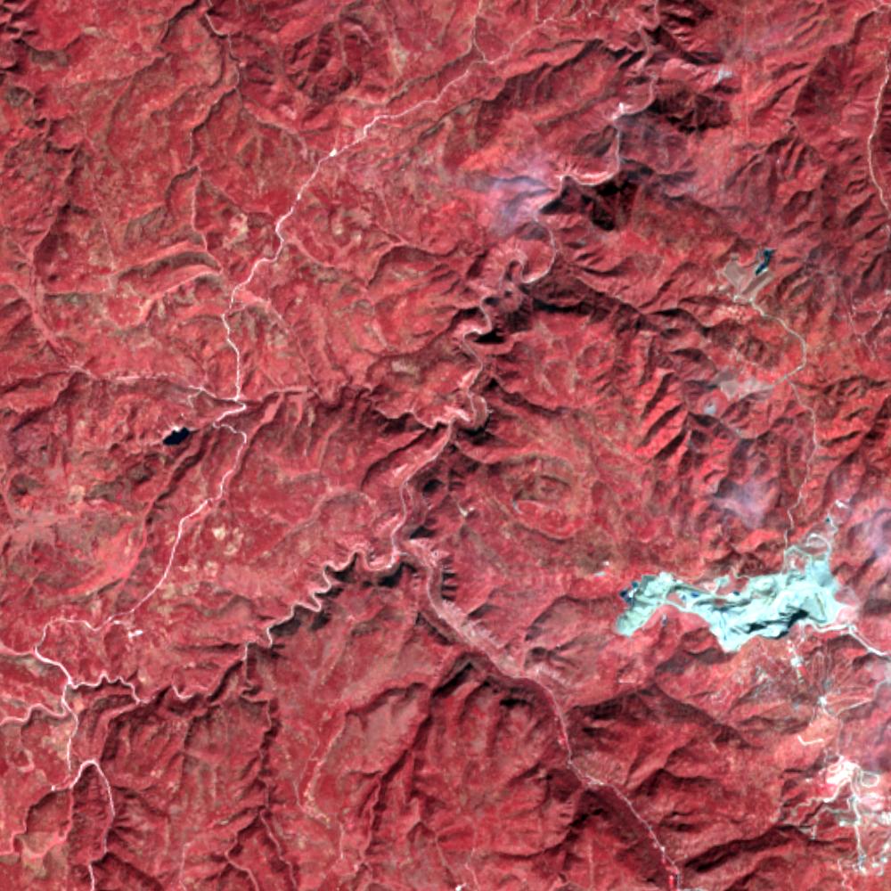 Landsat color-infrared false color (recent)