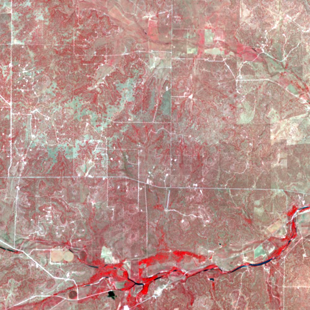 Landsat color-infrared false color (recent)