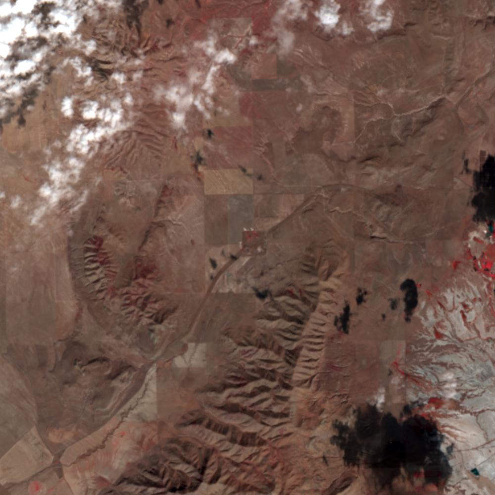 Landsat color-infrared false color (recent)