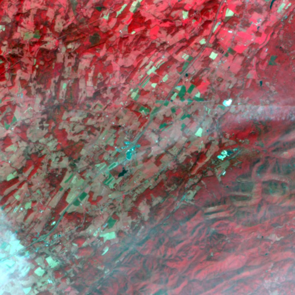 Landsat color-infrared false color (recent)